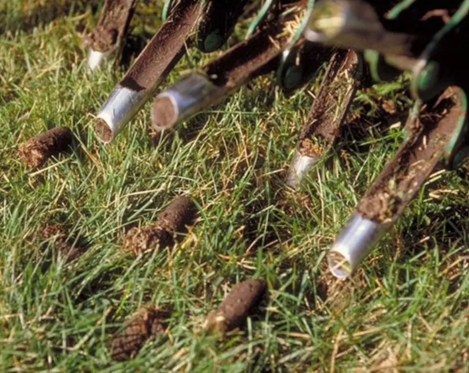 Local landscaping services in Prosper, TX by Windsong Ranch Core Aeration