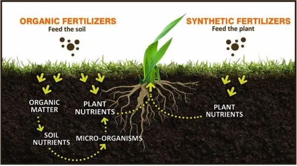 Windsong Ranch Core Aeration Logo