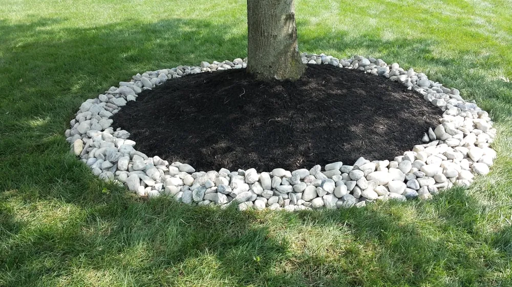 Custom lawn care service in East Windsor, NJ - Windsor Elite Landscaping