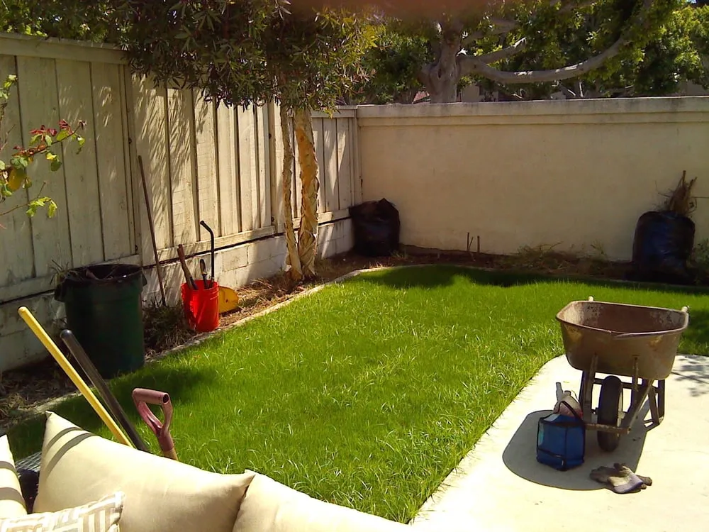 Professional landscape installation in Westminster, CA by Windsor Gardencare