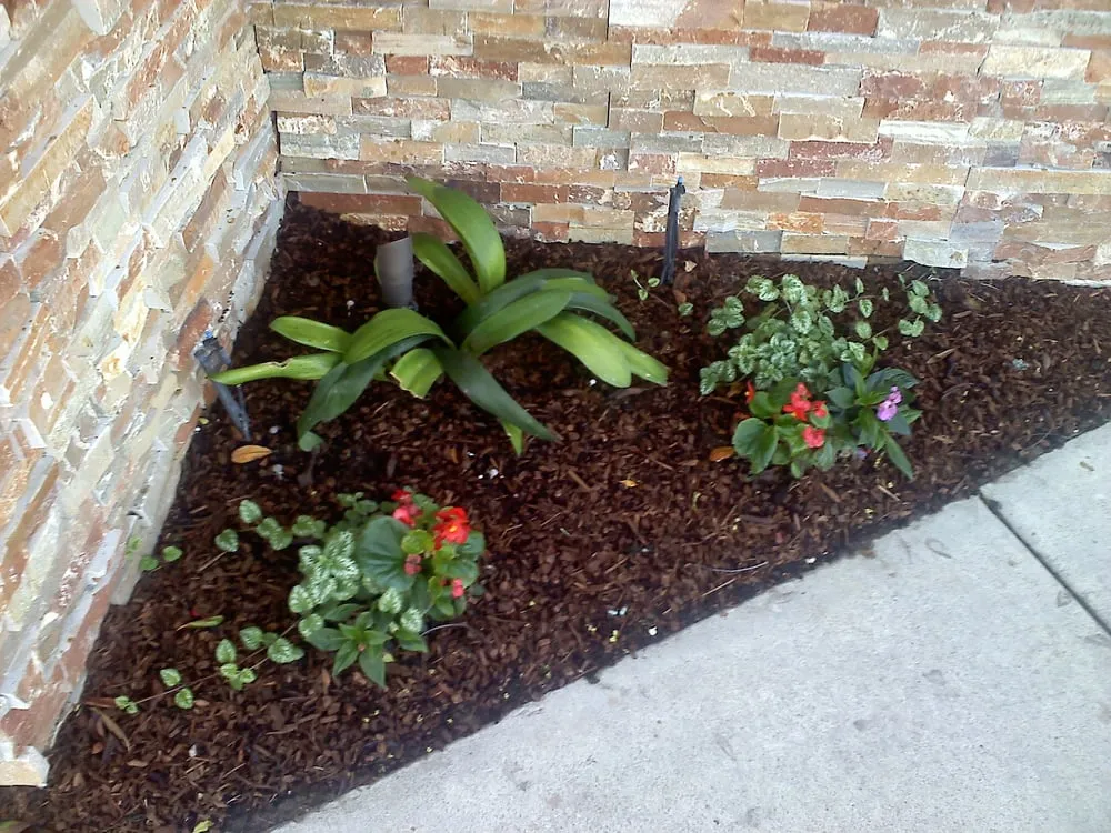 Reliable lawn mowing service in Westminster, CA by Windsor Gardencare