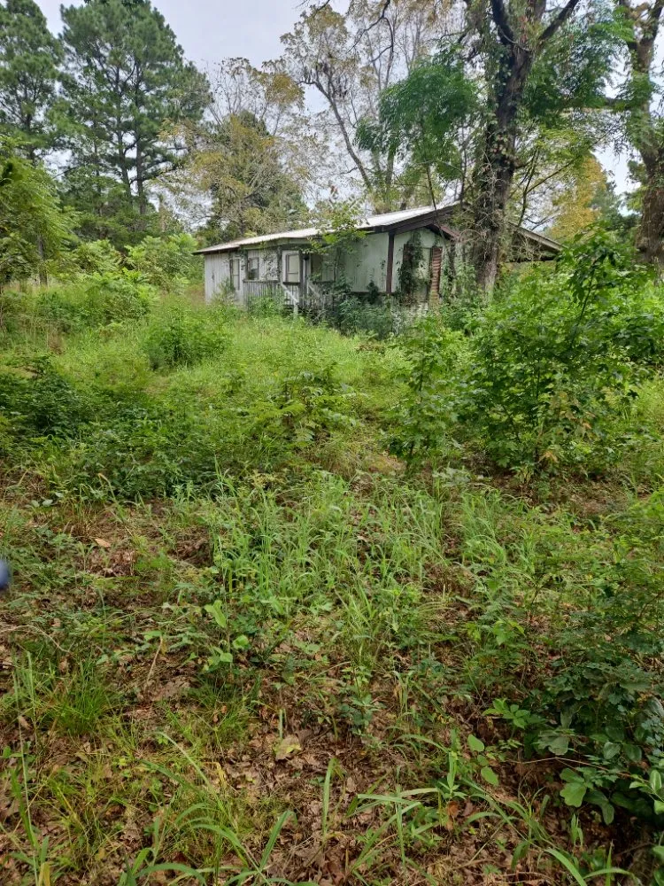 Top-rated landscape design in Pittsburg, TX - Windwalker Lawn Services