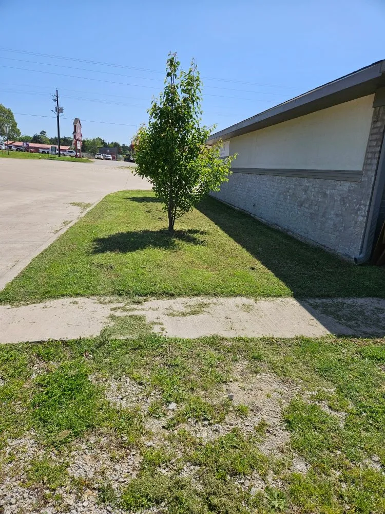 Top-rated yard cleanup service for beautiful yards across Pittsburg, TX - Windwalker Lawn Services