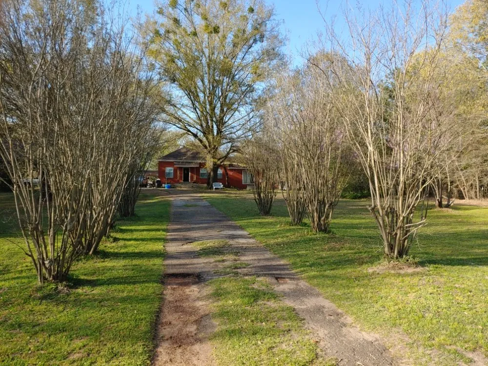 Reliable residential landscaping for beautiful yards in Pittsburg, TX by Windwalker Lawn Services