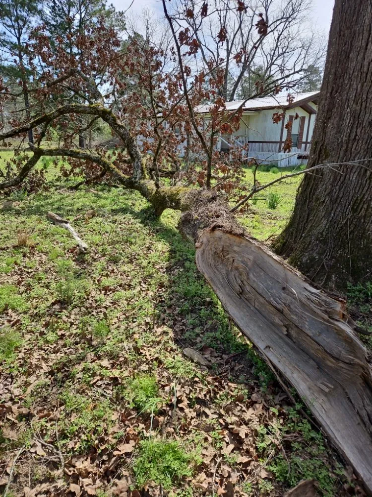 Affordable lawn care service in Pittsburg, TX by Windwalker Lawn Services