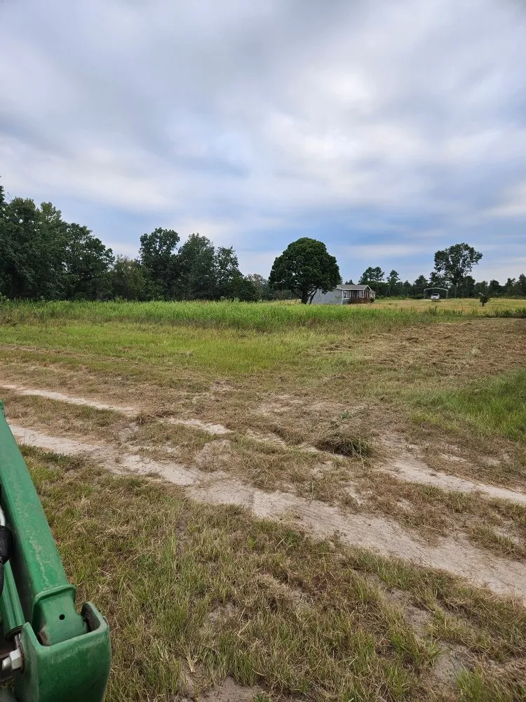 Local yard cleanup service for beautiful yards across Pittsburg, TX - Windwalker Lawn Services