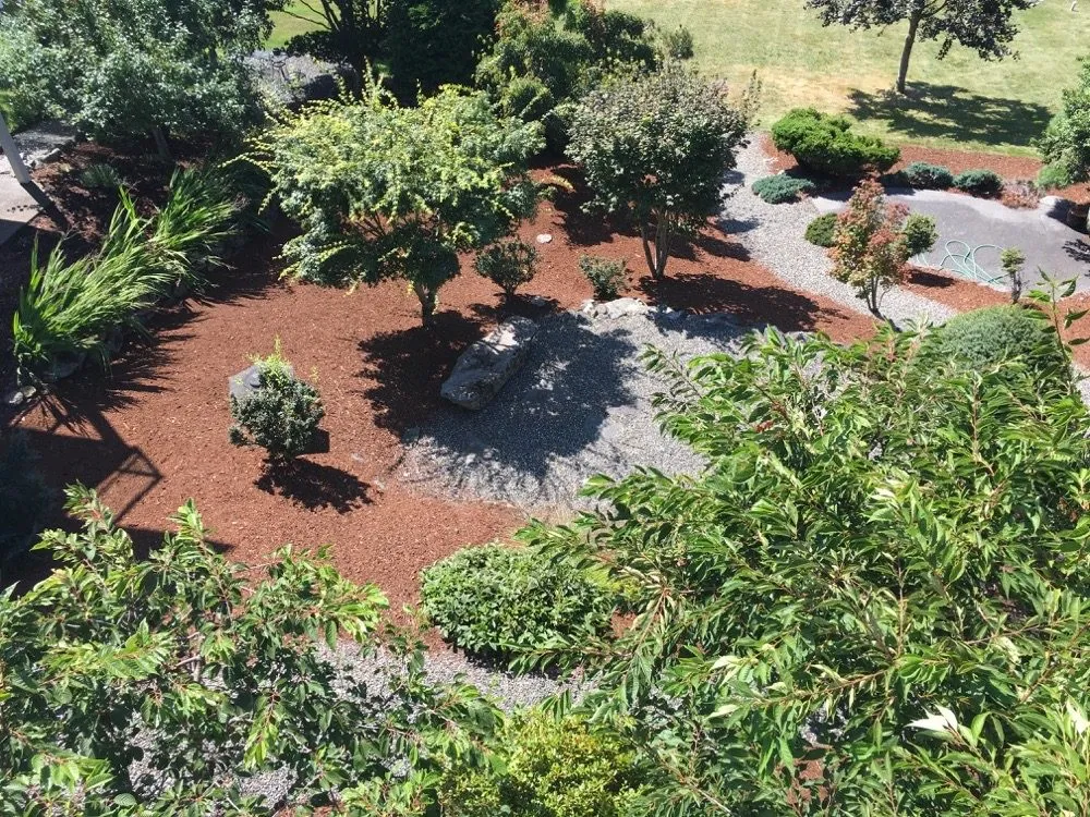 Custom yard cleanup service for beautiful yards in Ferndale, WA by Windwood Enterprises