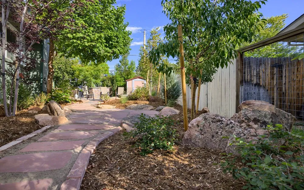 Trusted yard cleanup service experts serving Louisville, CO - Windwood Spaces