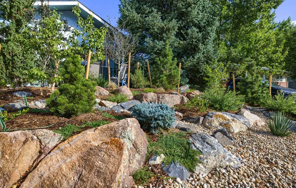 Local yard maintenance experts serving Louisville, CO - Windwood Spaces