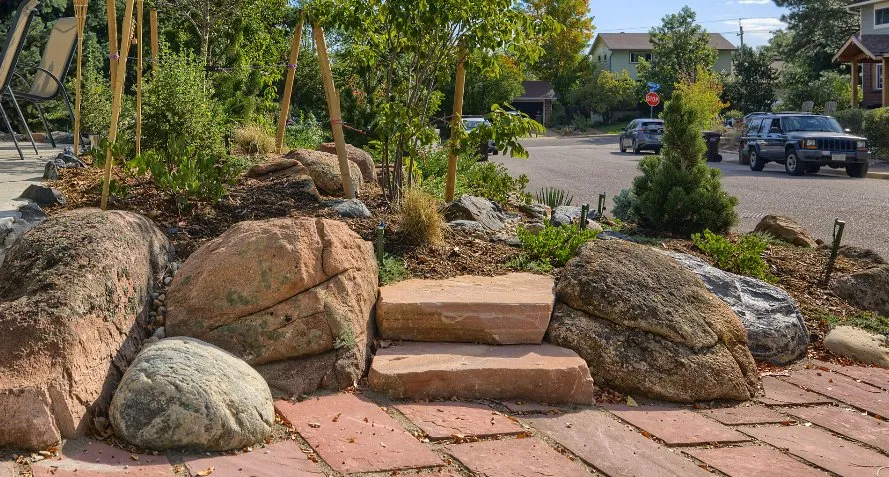 Professional lawn care service experts serving Louisville, CO - Windwood Spaces