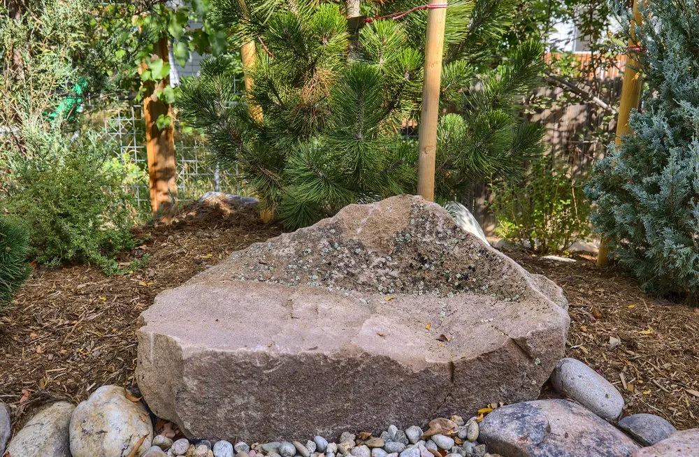 Top-rated residential landscaping near you in Louisville, CO by Windwood Spaces