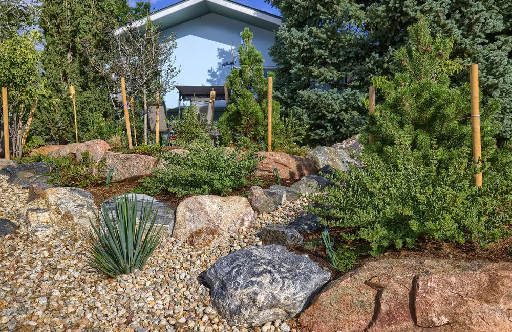 Custom residential landscaping in Louisville, CO by Windwood Spaces