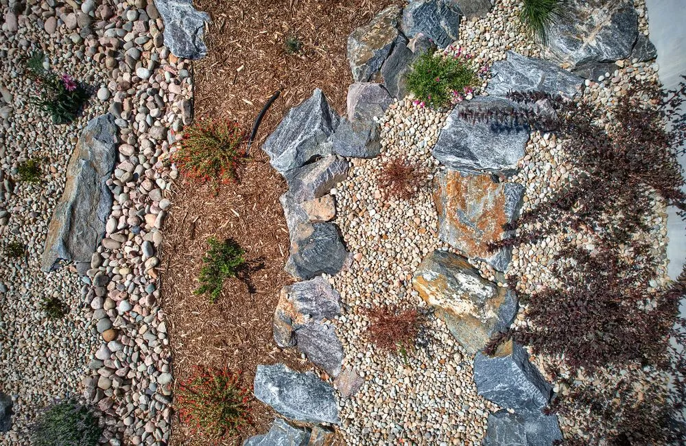 Affordable landscaping services experts serving Louisville, CO - Windwood Spaces