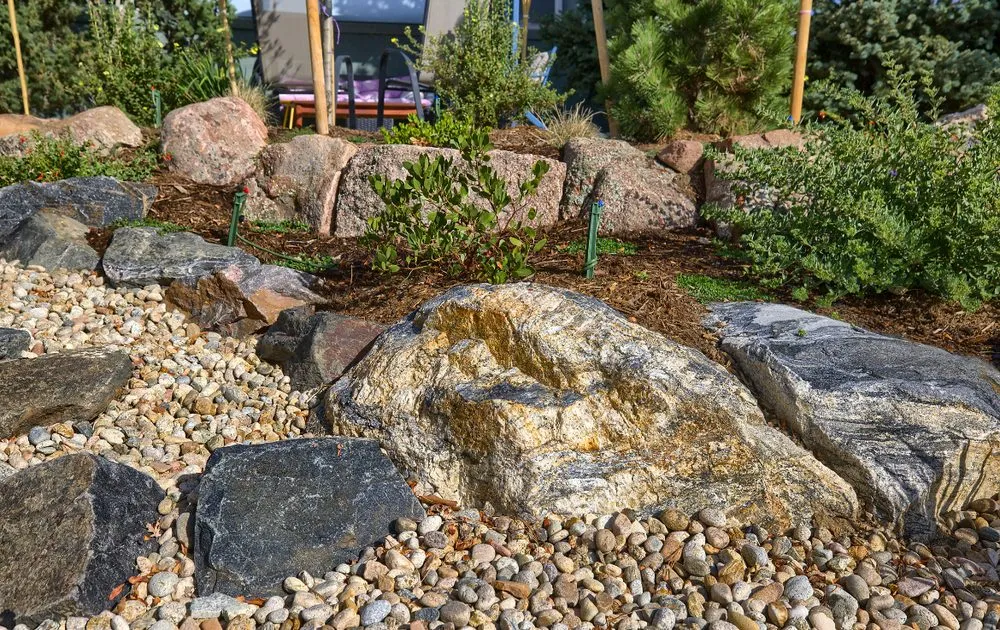 Expert lawn mowing service in Louisville, CO - Windwood Spaces