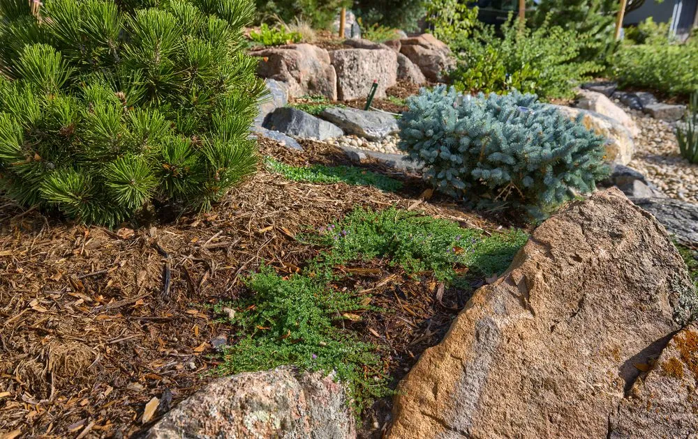 Expert landscape design in Louisville, CO - Windwood Spaces
