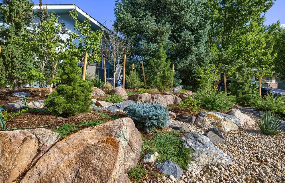 Top-rated landscaping services for homes across Louisville, CO - Windwood Spaces