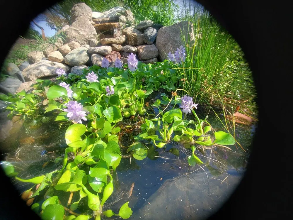 Reliable yard cleanup service in Granger, IA - Windy Acre Water