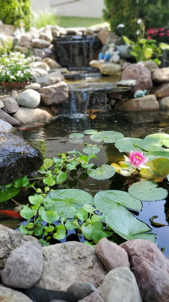 Top-rated landscaping services for year-round maintenance across Granger, IA - Windy Acre Water