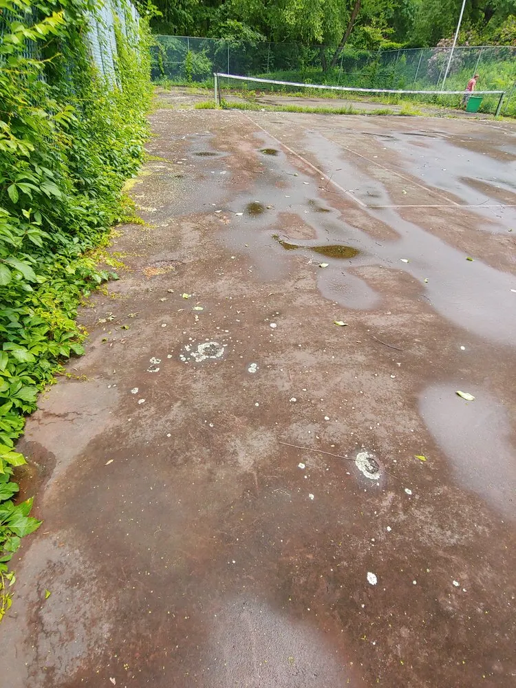 Affordable landscaping services near you across Concord, MA - Windy Acres Landscaping