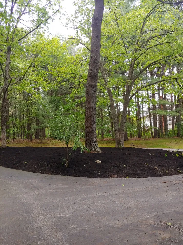 Local landscaping services for outdoor upgrades across Concord, MA - Windy Acres Landscaping