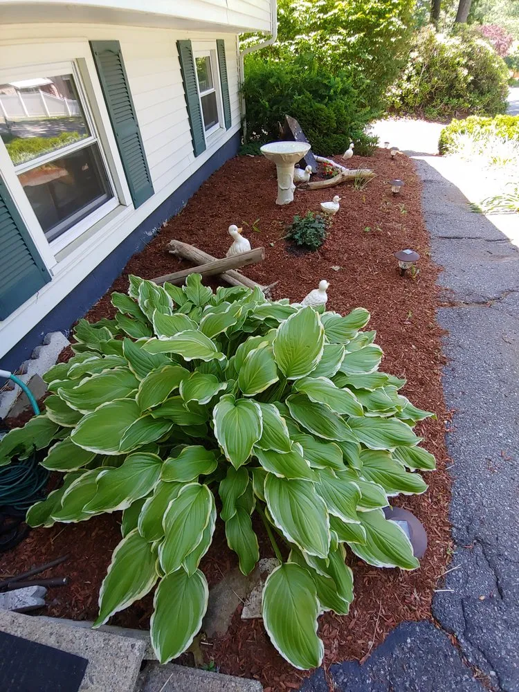 Local garden landscaping experts serving Concord, MA - Windy Acres Landscaping