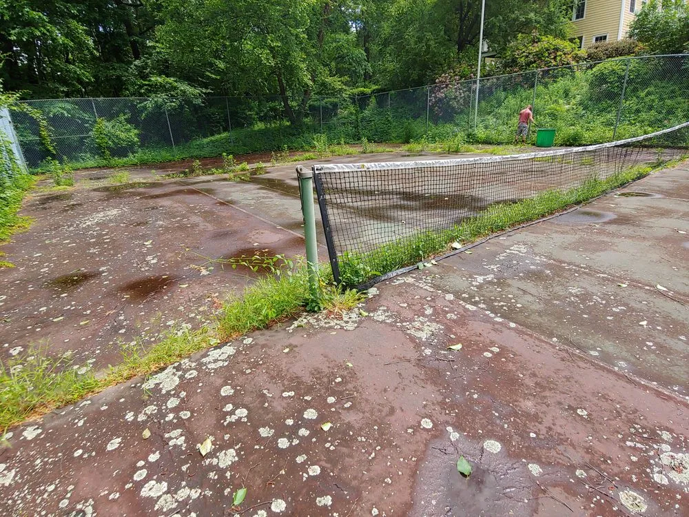 Reliable yard cleanup service in Concord, MA - Windy Acres Landscaping