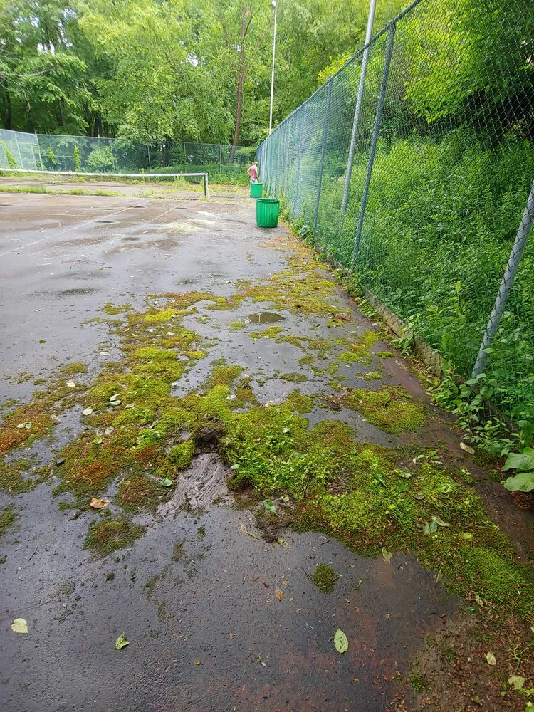Local outdoor landscaping in Concord, MA - Windy Acres Landscaping