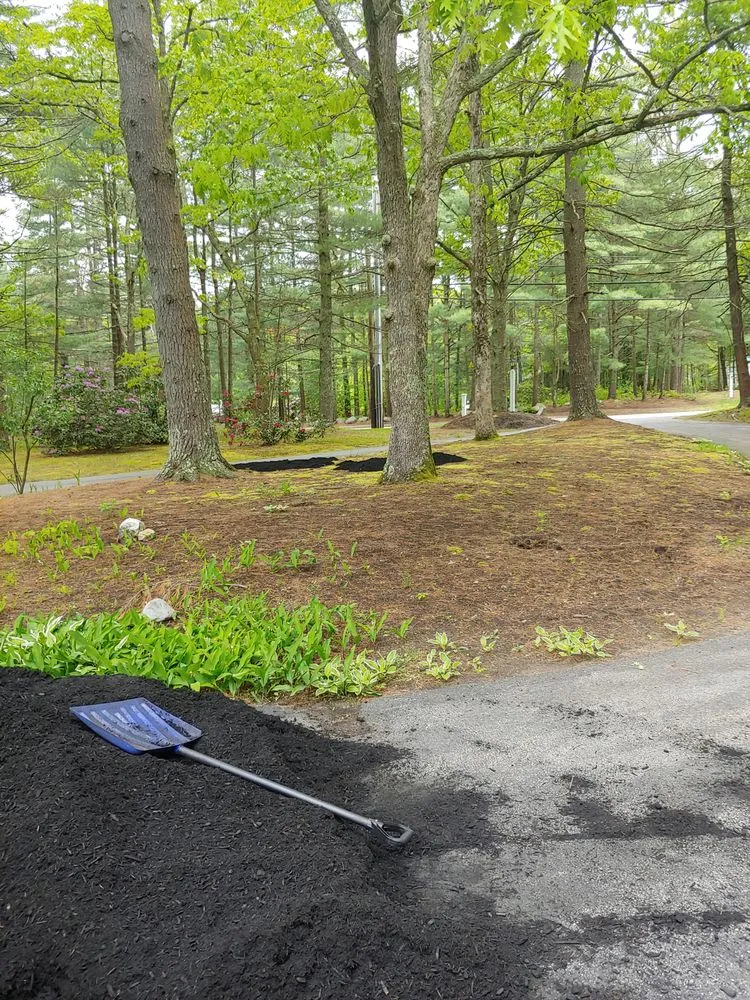 Trusted lawn mowing service in Concord, MA - Windy Acres Landscaping