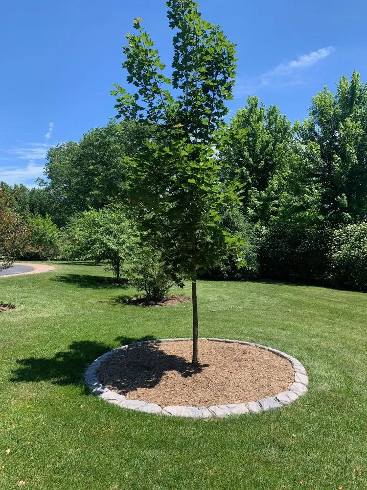 Trusted garden landscaping experts serving St. Charles, IL - Windy City Curbing