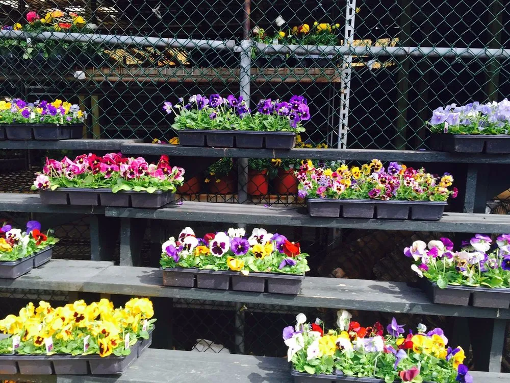 Local landscaping services in Yonkers, NY - Windy Farm Garden Center