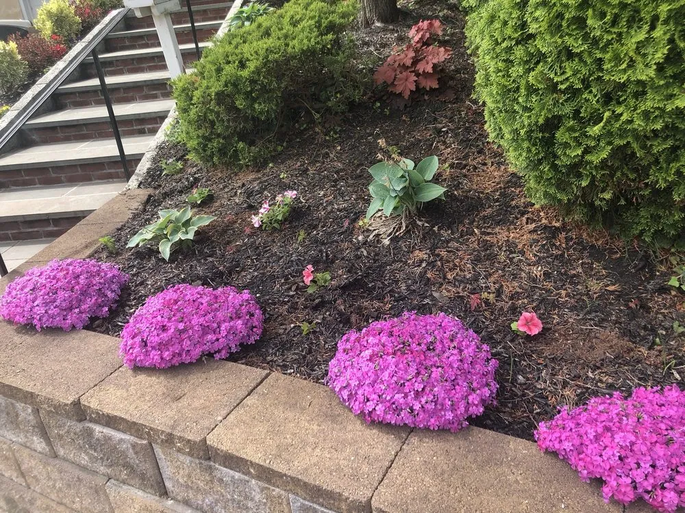 Expert yard cleanup service for outdoor upgrades across Yonkers, NY - Windy Farm Garden Center