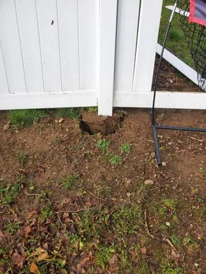 Windy Farm Garden Center