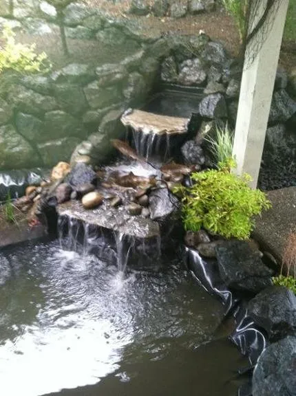 Expert residential landscaping for residential properties across Bremerton, WA - Windy Point Services