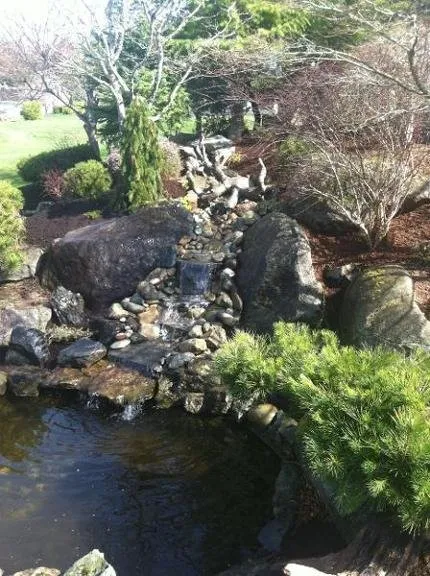 Professional yard maintenance experts serving Bremerton, WA - Windy Point Services