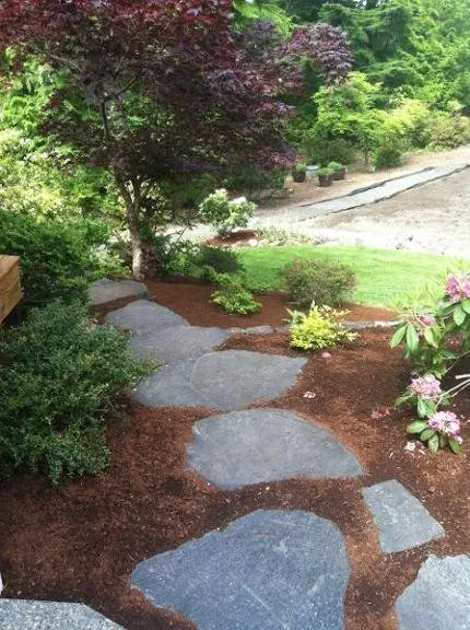 Reliable yard maintenance in Bremerton, WA - Windy Point Services