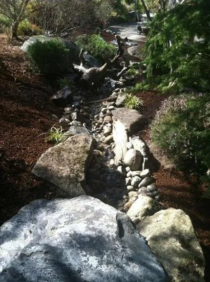 Expert lawn mowing service in Bremerton, WA - Windy Point Services