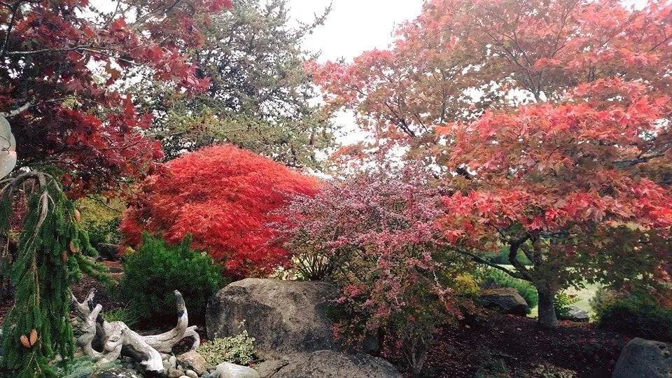 Top-rated residential landscaping for outdoor upgrades in Bremerton, WA by Windy Point Services