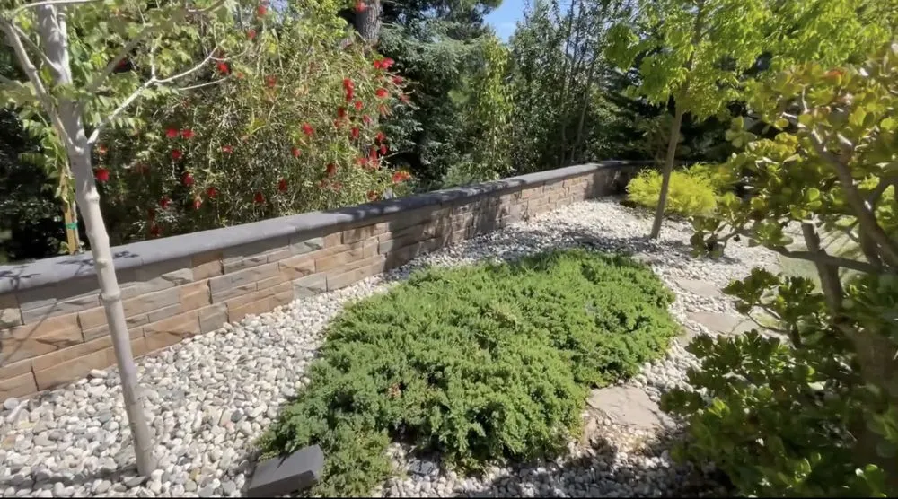 Reliable yard maintenance for outdoor upgrades across San Leandro, CA - Windypeak Landscaping