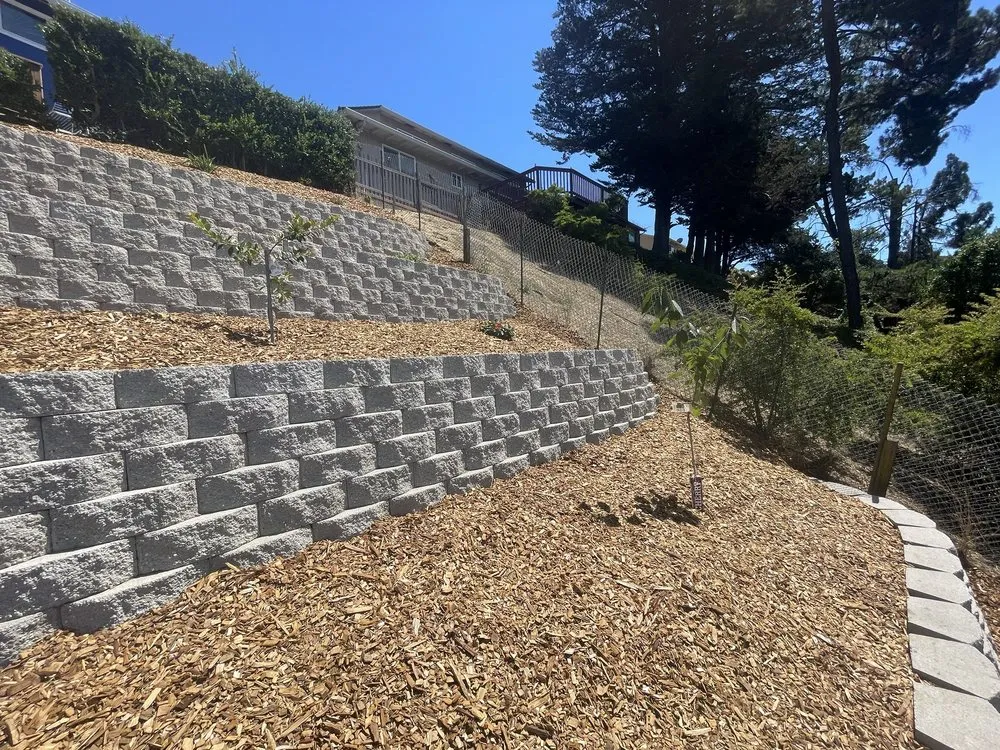 Trusted yard cleanup service experts serving San Leandro, CA - Windypeak Landscaping