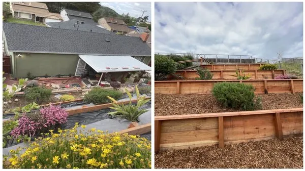 Windypeak Landscaping Logo