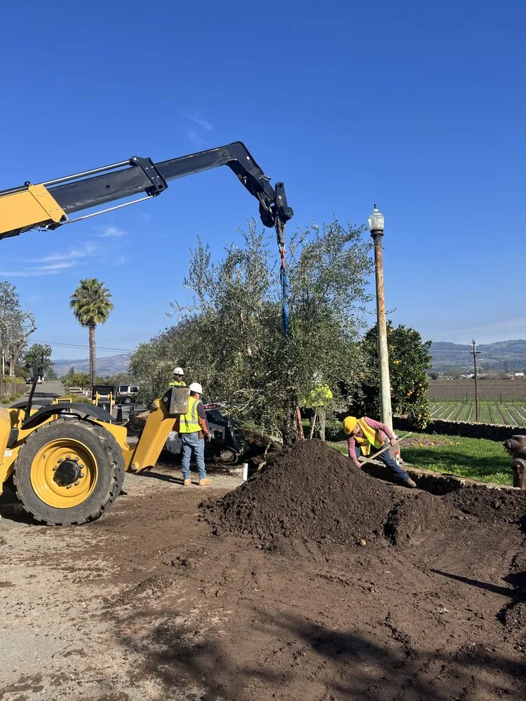 Top-rated landscaping services for residential properties in Yountville, CA by Wine Country Gardens