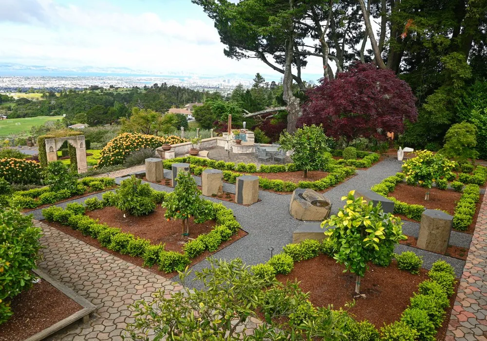 Affordable landscape design in Yountville, CA by Wine Country Gardens