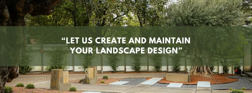 Custom landscape installation in Yountville, CA by Wine Country Gardens