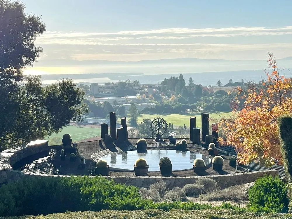 Trusted lawn care service for residential properties across Yountville, CA - Wine Country Gardens