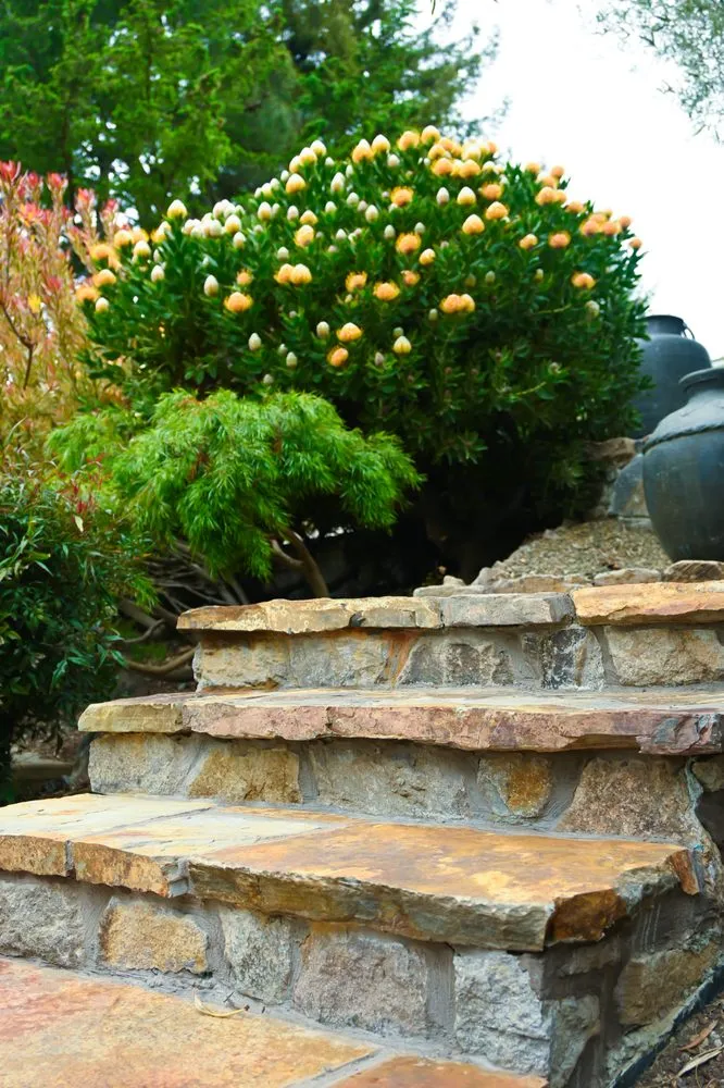 Professional lawn mowing service in Yountville, CA by Wine Country Gardens