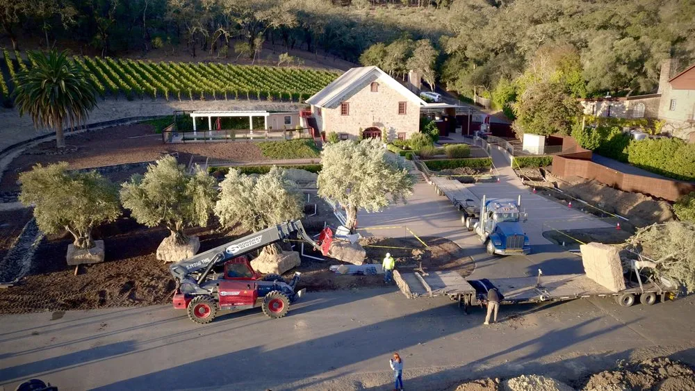 Local landscape installation in Yountville, CA - Wine Country Gardens