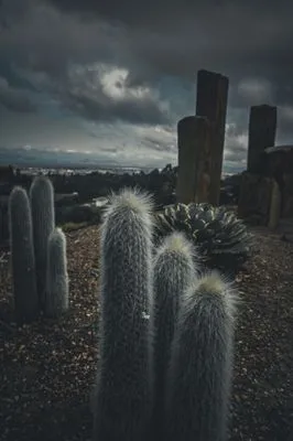 Wine Country Gardens