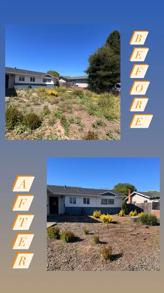 Top-rated landscape installation in Santa Rosa, CA - Wine Country Landscaping