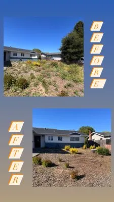 Wine Country Landscaping Logo