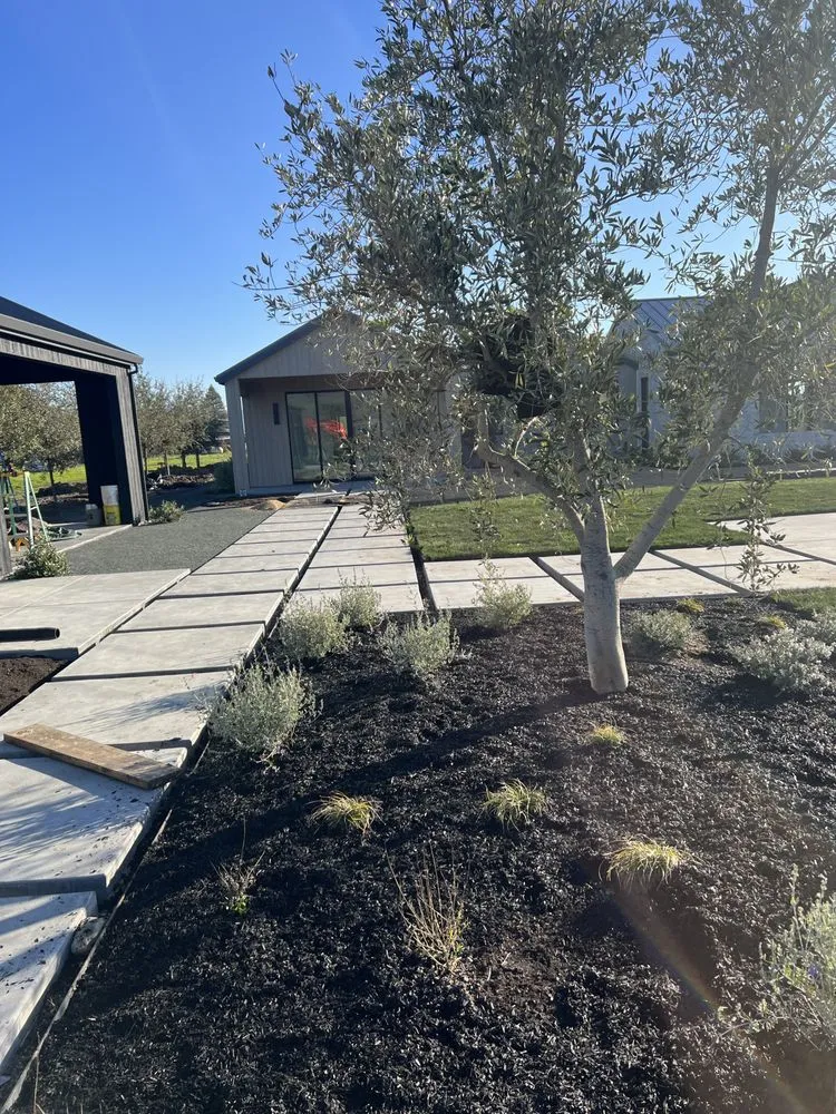 Local lawn care service for year-round maintenance in Sonoma, CA by Wine Country Landscaping